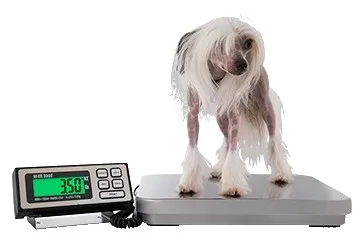 Весы Mercury M-ER 333FA-150.50 в Москве и Московской области от магазина Ammina